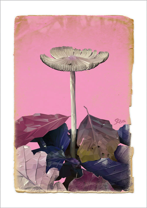 Morten Stern - dunstokket blækhat - Pink vintage