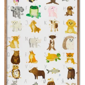 Plakater