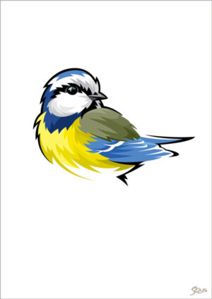 Blåmejse - kort m/kuvert, A6