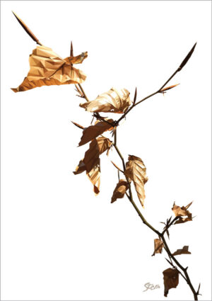 Bøg Efterår (plakat og kort)