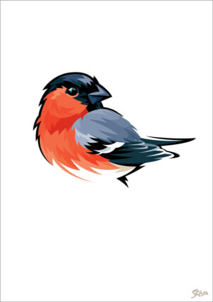 Dompap - kort m/kuvert, A6