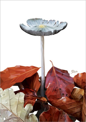 Dunstokket Blækhat (plakat og kort)