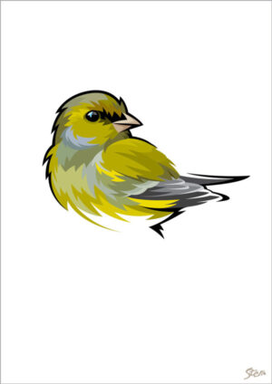 Grønirisk - kort m/kuvert, A6