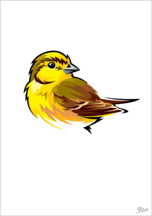 Gulspurv - kort m/kuvert, A6