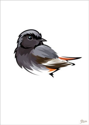 Husrødstjert- kort m/kuvert, A6