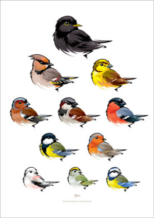 Ornitologens Synsprøve  (plakat)