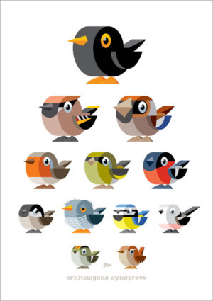 Ornitologens Synsprøve - Iso (plakat)
