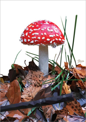Rød fluesvamp (plakat og kort)