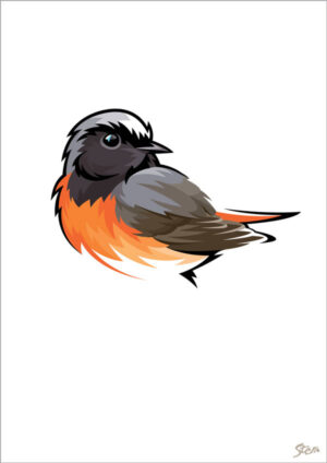 Rødstjert - kort m/kuvert, A6