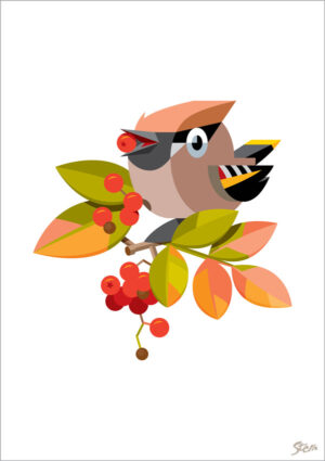 September Silkehale - Iso (plakat og kort)