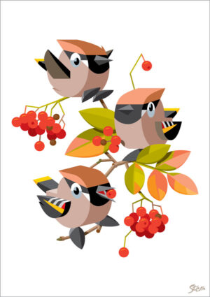 September Silkehale Multi - Iso (plakat og kort)