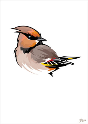 Silkehale - kort m/kuvert, A6