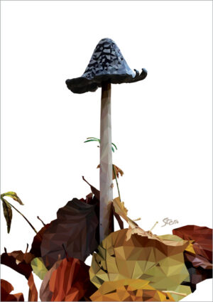 Skade-Blækhat (plakat og kort)