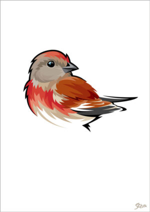 Tornirisk - kort m/kuvert, A6